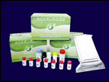 Enrofloxacin ELISA Test Kit