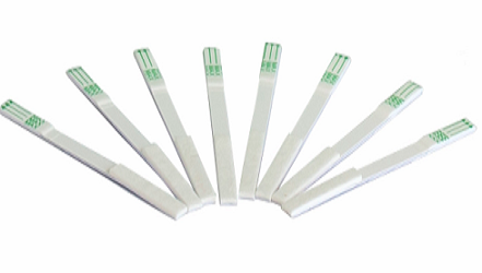 Total Aflatoxins rapid test strip