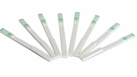 Nitrofuran(SEM) rapid test strip 